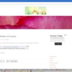 Studiopress Beautiful Theme beautiful theme