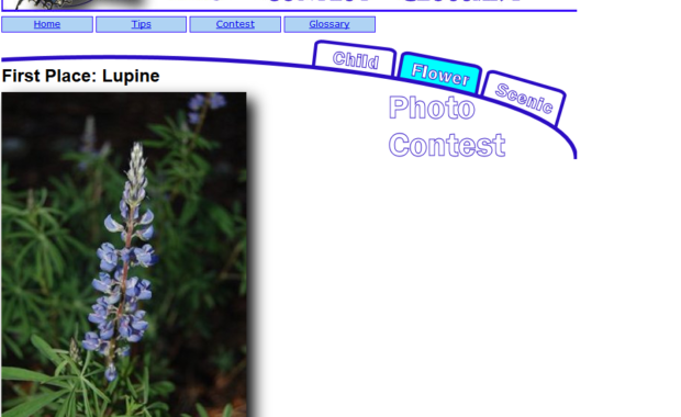 CamShots Photo Contest
